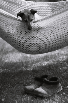 Чей туфля? / ***