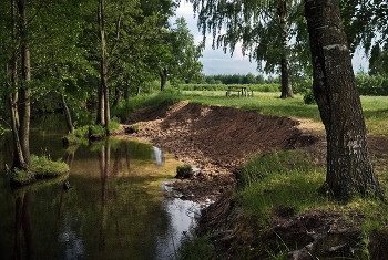 У водопоя. / У водопоя.
