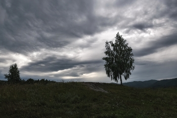 Перед дождем / ***