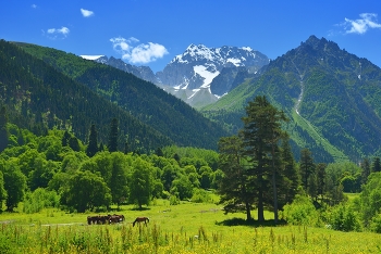 Лето в горах Кавказа / Аксаут