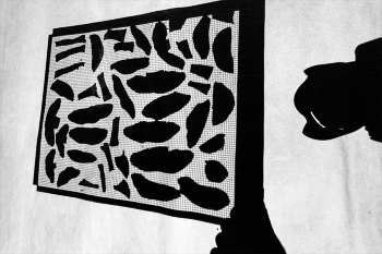 Жизнь вокруг / ***