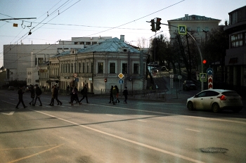 зебра / город