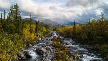Река Гольцовка / Хибины, долина реки Гольцовка. Сентябрь.
