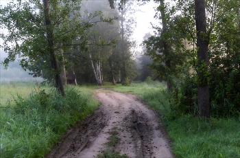 УТРО В ЛЕСУ / ***