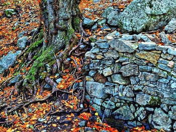 &nbsp; / Matagalls - Montseny - Osona