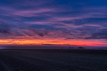 Рассвет в полях / ***