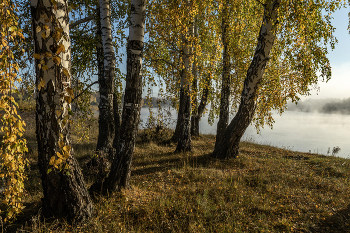Утро сентября на Оке / ***