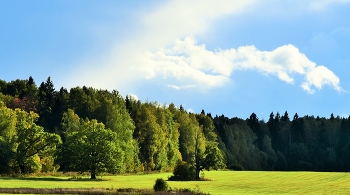 &quot;Лесная опушка - творенье природы: поля конец и лесное начало...&quot; / &quot;Лесная опушка - творенье природы:
 Поля конец и лесное начало,
 Прихожая леса на грани свободы,
 Своеобразность лесного причала ...&quot;
 Н.Изотов