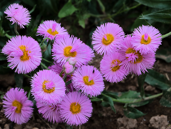 Было лето... / ***