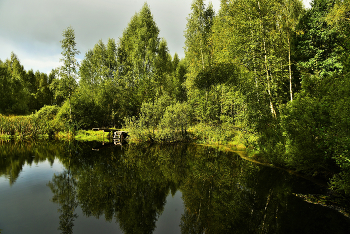 &quot;Осенний пруд застыл в покое ...&quot; / &quot;Шумят над прудом дерева беспечно,
 А воды пруда - уж холодные ...&quot;
 Н.Панкова