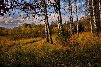 Тёплым днём. / *Томская область.**