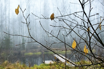 "Дни поздней осени бранят обыкновенно, но мне она мила..." / "К привычкам бытия вновь чувствую любовь:
Чредой слетает сон, чредой находит голод..."
А.С. Пушкин