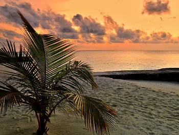 Догорает день на море / Догорает день на море