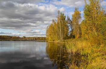 Пора золотая / ***