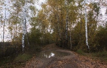 Скромная осень / Вечерний сюжет из Подмосковья