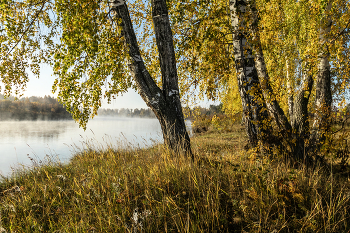 Утро сентября / ***