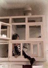 необратимость / как часто наша свобода ограничивается с виду незаметными рамками, вот так и сидишьв ящике