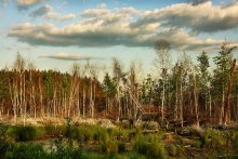 Мещерские болота... / район Спас-Клепики, Мещера... Глухомань...