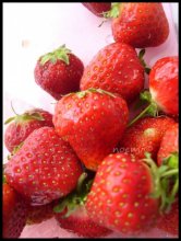 mmm yummy / .....