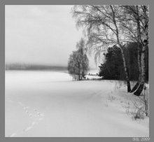 Мороз, туман и солнце / "Просторы манят нас туманные,
И полной грудью дышим мы.
Люблю деревню, утро раннее
И грусть серебряной зимы."
Для тех, кто соскучился по зимним пейзажам