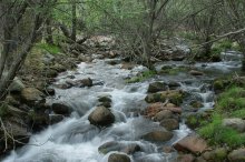 Горный ручей / Снято в горах на севере Испании
