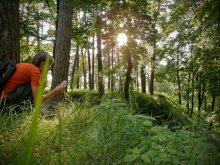 за сюжетом... / ...в лес дремучий