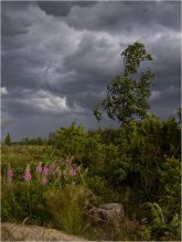 Натянуло... / Первые порывы перед бурей