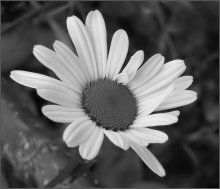 &nbsp; / погадать...