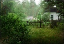 Спрятавшийся в зелени... / Сев. Казахстан, Щучинск