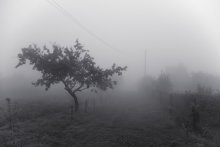 Июльский туман / ......