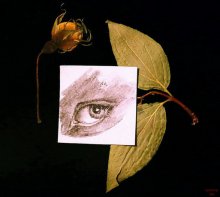 натюрморт с глазом / -------------------------