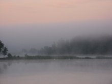 5 утра. Предрассветный туман. Браславские озёра. / Вдалеке лебеди плывут.