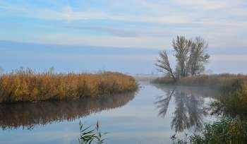 Утренняя тишина. / ***