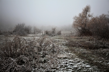 Унылая тишина / ***