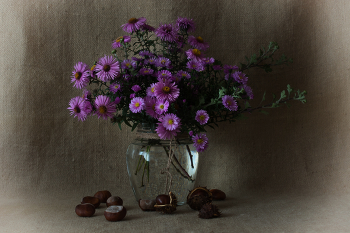 Осенние встречи. / 03-10-2025.