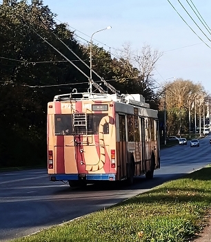 &nbsp; / Только его хвост и видели...