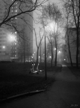 утро туманное / просто фотка