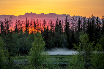 Летний закат в тундре / Июнь 2023 года, ЯНАО