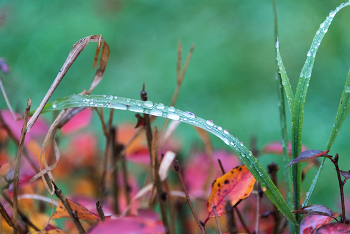 Осенняя погода. / ***