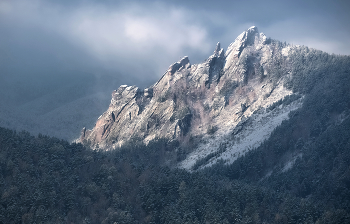 Утренний Такмак / ***