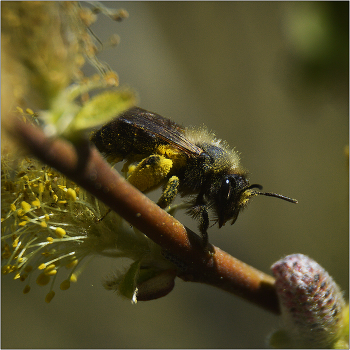 Груз забот. / Краткий миг отдыха а затем все продолжается снова.