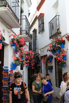 Испанская улочка / ***