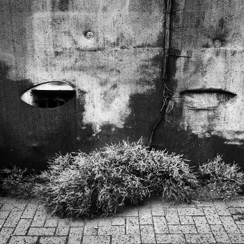 Спонтанный портрет / ***