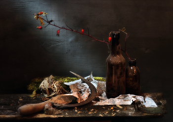 С шиповником / Без описания