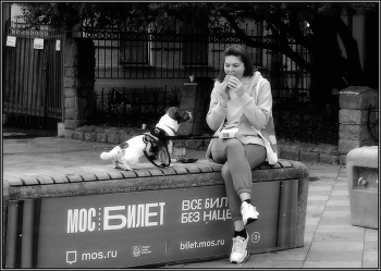 ...... - Ну хоть кусочек !.... / уличный сюжет