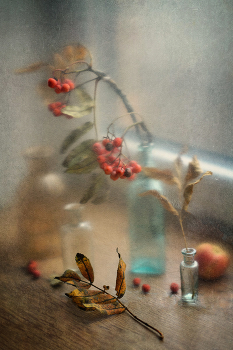 Про осень на моём подоконнике... / ***