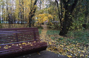 Дождливый парк / ***