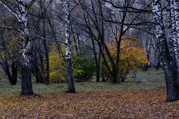 В осеннем парке. / *Томская область.**