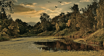 В предчувствии осеннем. / ***
