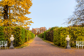 Екатерининский парк осенью. / ***